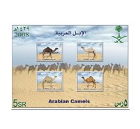 Arab camel