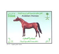 Arabian horses