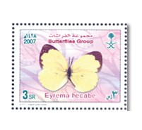 Butterflies group